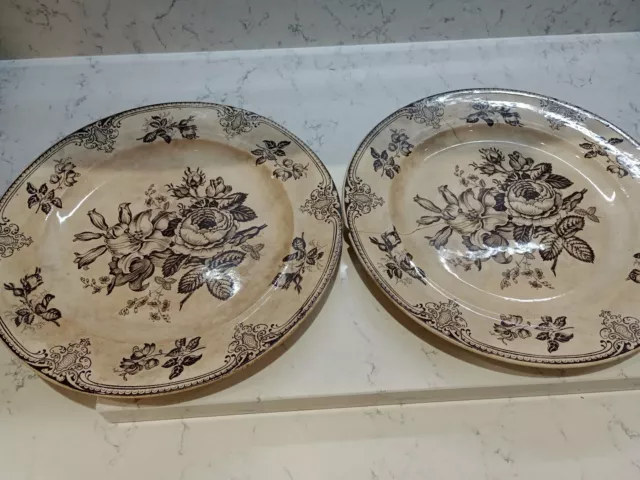 ANTIQUE DAVENPORT? PAIR OF DINNER PLATES IN  "ROSE & LILY" PATTERN Circa 1850?