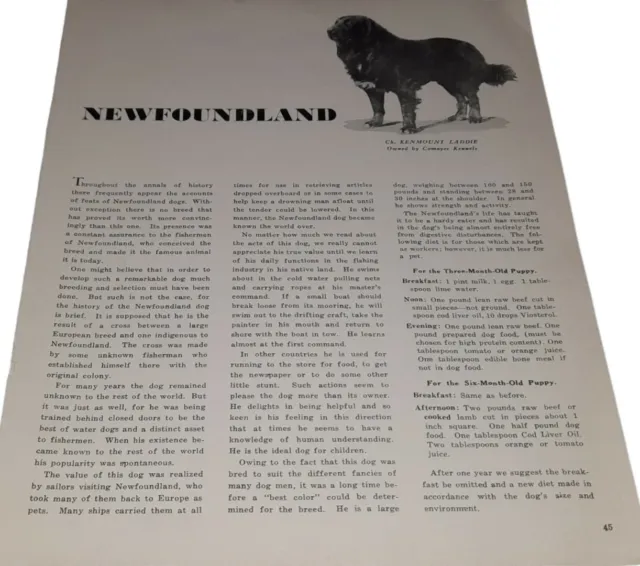 Origin History Temperament & Care of Newfoundland & Norwegian Elkhound
