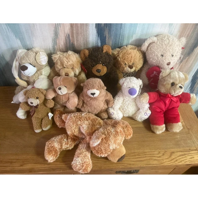 11 X SOFT Cuddly Toys Bears Bundle £5.00 PicClick UK