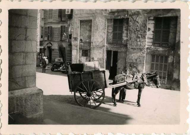 Anciennes (Av. 1900) - Photo 1880's Famille Enfants Attelage Calèche