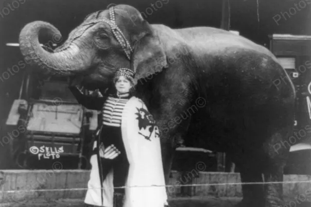 Circus Female Trainer with Elephant 1910s 4x6 Photography Reprint