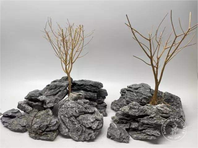 Premium Selected Seiryu Stone / Planted Aquarium / Decoration / Hardscape