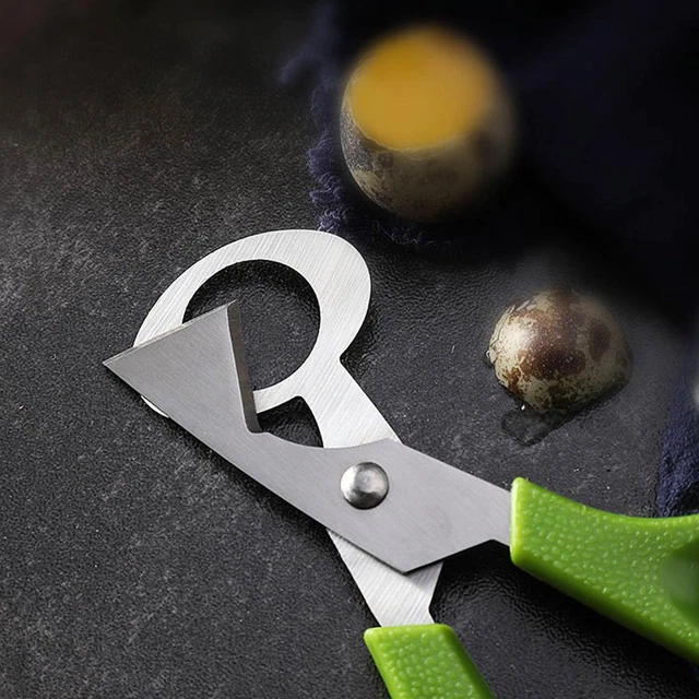 Forbici per uova di quaglia piccione apricracker strumento tagliasigari casa acciaio Y8V2