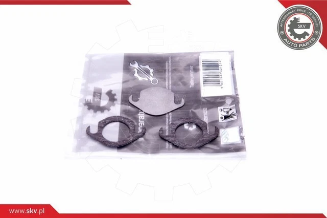Kit Riparazione Valvola Agr per Audi VW Q7 + Q8 + A8 + Q5 + A6 + Avant + 75->