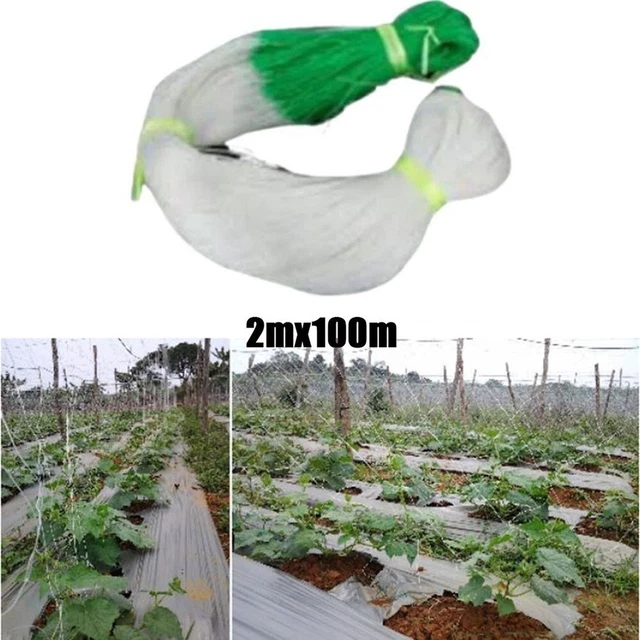 Filet de soutien à l'escalade de plante de qualité supérieure 2M x 100M pour