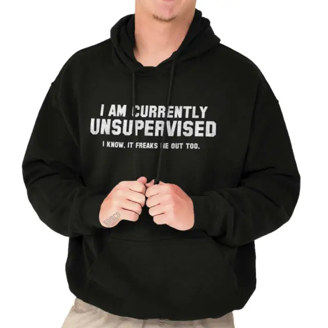 Currently Unsupervised Funny Adulting Drink Adult Long Sleeve Hoodie Sweatshirt