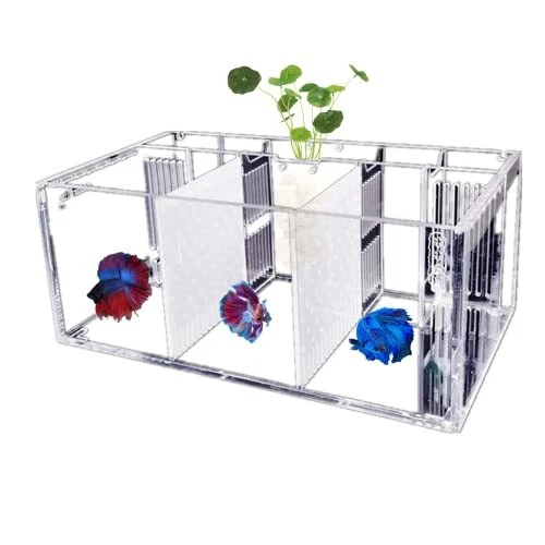 Betta Fish Tank Acrylic Material Mini Desktop Aquarium Goldfish Mini Fish Tan...