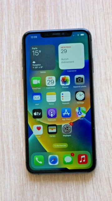 Apple iPhone XS Max - 64 Go - Gris Sidéral - Face ID non opérationnel