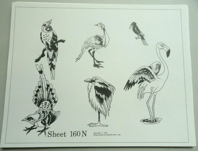Hoja flash de tatuaje Spaulding & Rogers 1978 de colección #160N periquito flamenco aves