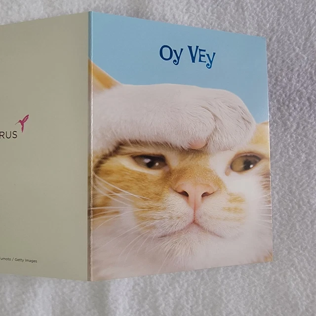 Papyrus Oh Vey Cat Kitty 11 Blank Note Cards Notecards 11 Envelopes New Open Box
