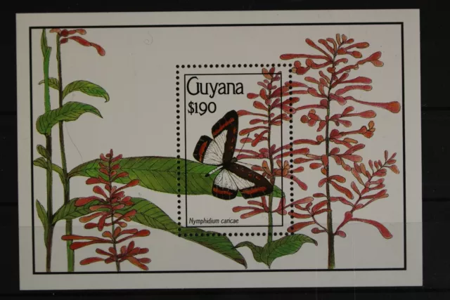 Guyana, farfalle, n. Michel Blocco 104, nuovo di zecca - 616265