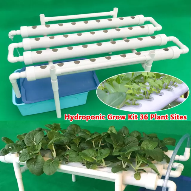 Hydroponic Grow Kit 36 Löcher 4 Rohre Hydroponisches Anzuchtsystem Erdlose