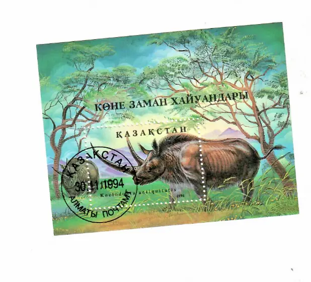 Kajakstan Rhinoceros Laineux 1994