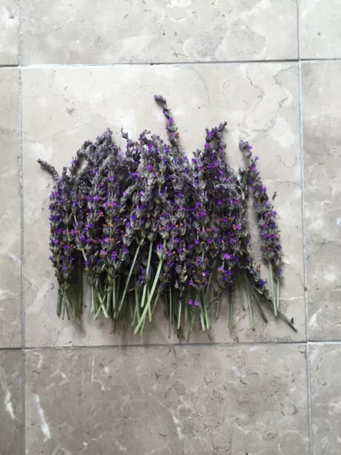 Organic Natural Air Dried California USA Lavender Flower Bunches