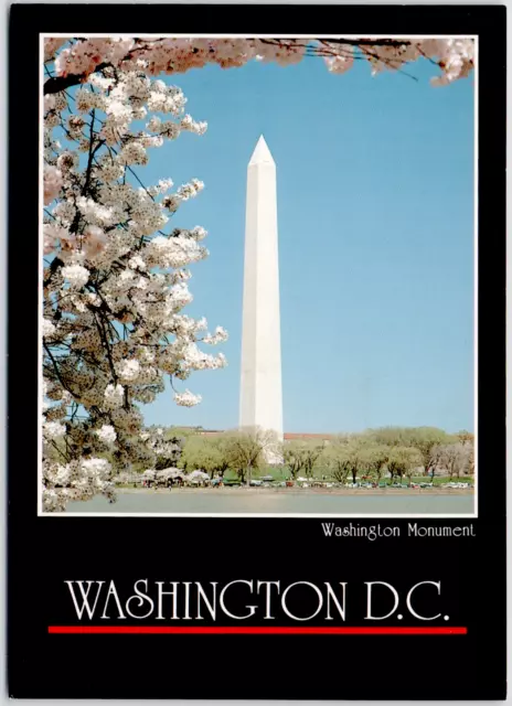 Washington Monument Washington DC Black Border Cherry Blossoms Vintage Postcard