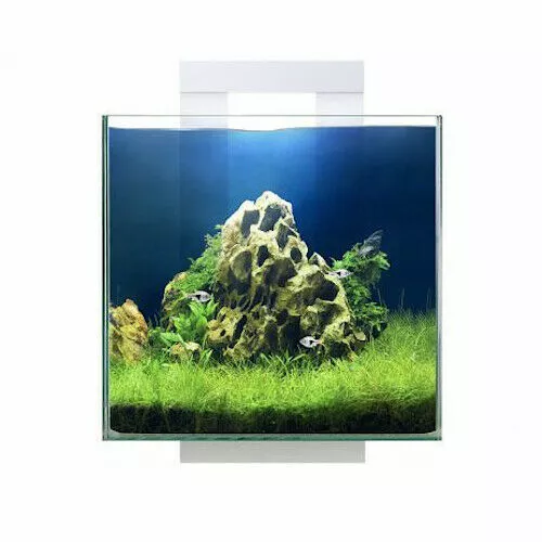 Ciano Shrimp Aquarium Tank NEXUS 15 with CF40 Internal Filter Led Lighting 14.5L 2