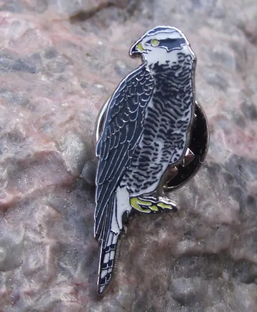 North American Northern Goshawk Eagle Hawk Raptor Prey Bird Standing Pin Badge