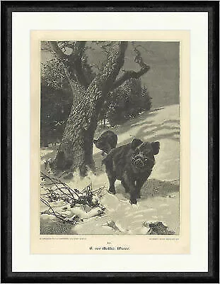 Winter Maffei Keiler Wild Lichtung Wildschweine Schnee Spur  Faksimile_A 2603