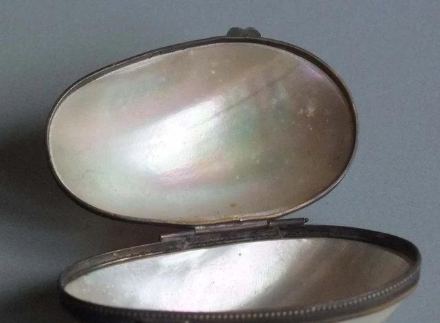 Boîte à Bijoux En Coquillage Et Nacre Vintage - Époque 1900, Souvenir Bord De Mer