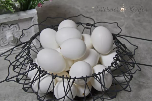 144 Huevos de gallina Blanco Vacío Soplado Naturaleza Decoración Huevos Pascua