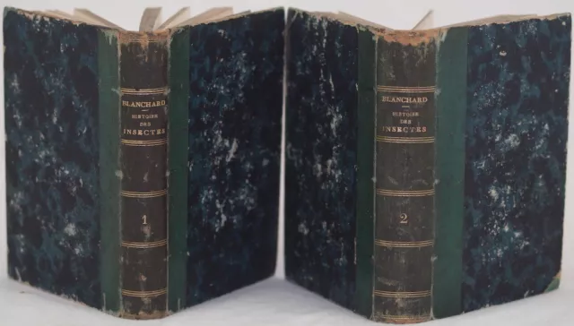 Emile Blanchard History Of Insects Insecti Entomologia Insects 1845 Ills