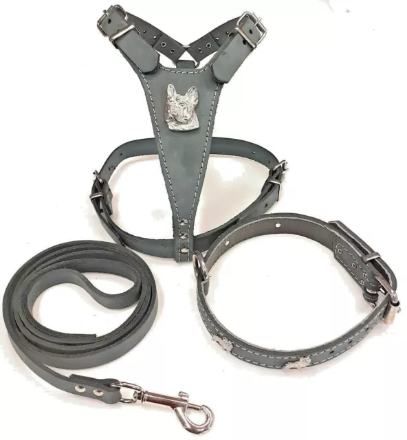 Beautiful Grey Leather Dog Harness, Collar and Lead Set for French Bulldog