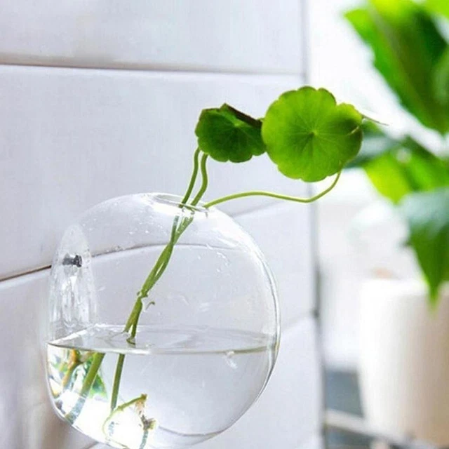 Wall Mounted Fish Tank Bowl Bubble Aquarium Hanging hot. Bet Terrarium M3S6