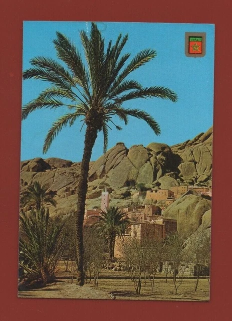 Maroc - TAFRAOUT - Vue panoramique   (L4419)