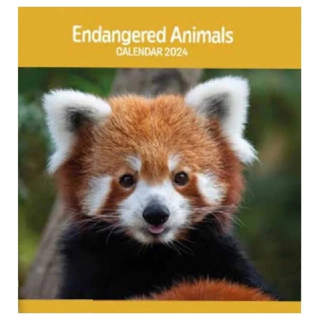 ENDANGERED ANIMALS 2024 Calendar Large Square Wildlife Wall Calendar
