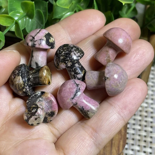 7pcs Natural Rhodonite Quartz Carved Crystal Mushroom reiki Healing Decor A1521 6