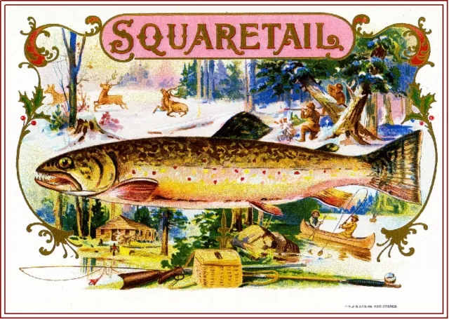 1909 Squaretail Trout Fish Smoke Vintage Cigar Tobacco Box Crate Label Art Print