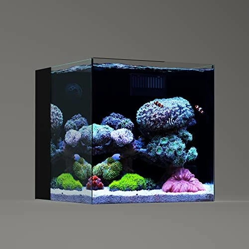 35C 7.2 Gallon Ultra Clear All Glass Rimless Low Iron Aquarium Tank with Rear