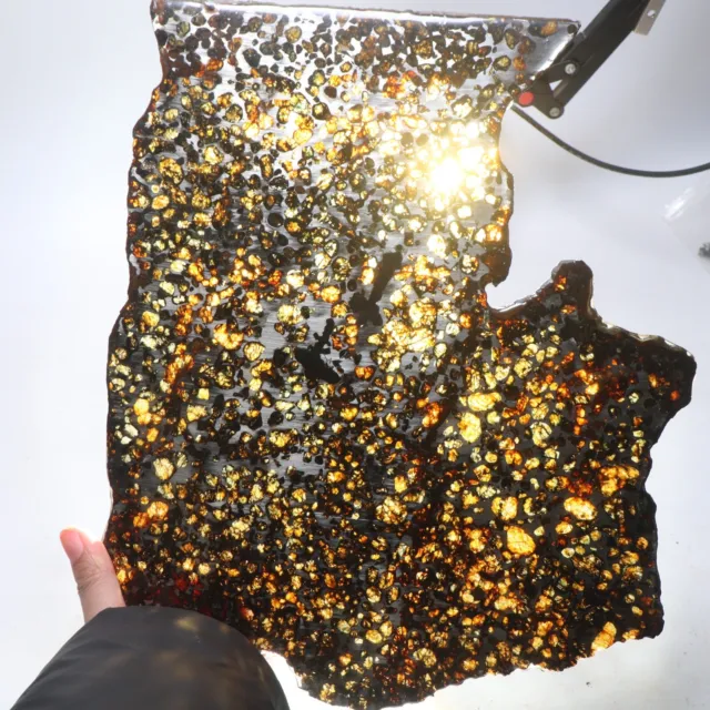 499g Beautiful SERICHO pallasite Meteorite slice - from Kenya C7190