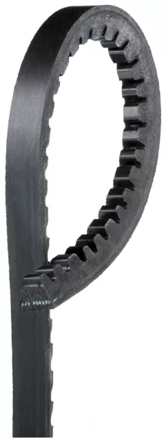 Accessory Drive Belt-GAS ACDelco 15360