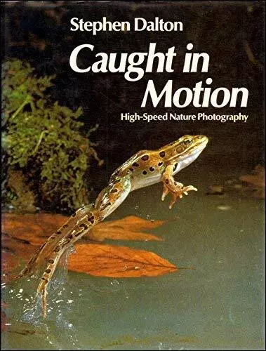 Caught in Motion: High Speed Nature Photography by Dalton, Stephen Hardback The