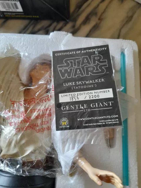 Star Wars Luke Skywalker(Tatooine) bust gentle giant
