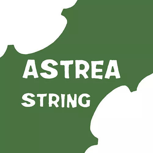 Astrea G (4th) String for Three Quarter (¾) and Full (4/4) Size Violin