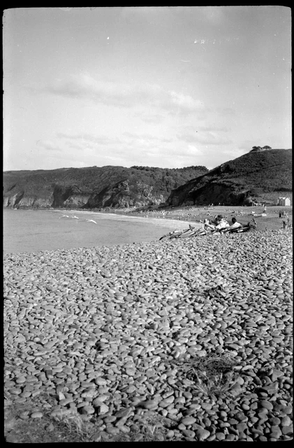 Beachfront Landscape Pebbles Bike - Antique Photo Negative Year 1950