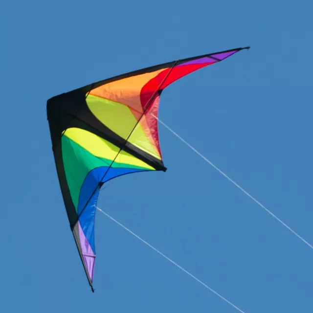 CIM Lenkdrachen Power Hawk Rainbow Drachen 155cmx75cm inkl. Steuerleinen 2