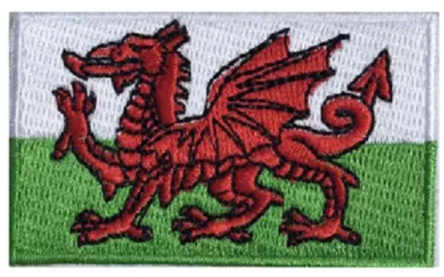 Welsh Flag Small Iron On / Sew On Patch Badge 6 x 3.5cm WALES St David Cymru