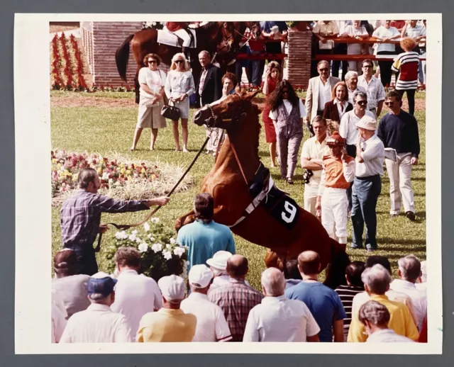 1990 Gulfstream Park Horse Hallandale Beach FL Jockey Vintage Color Press Photo