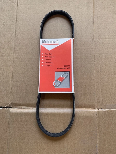Cintura a V ventola diesel originale Ford Motorcraft Fiesta 91-96 1303612
