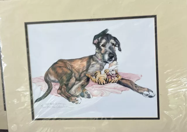 Irish Wolfhound Puppy with Toy Color Ltd Ed 11x14 Print By Van Loan