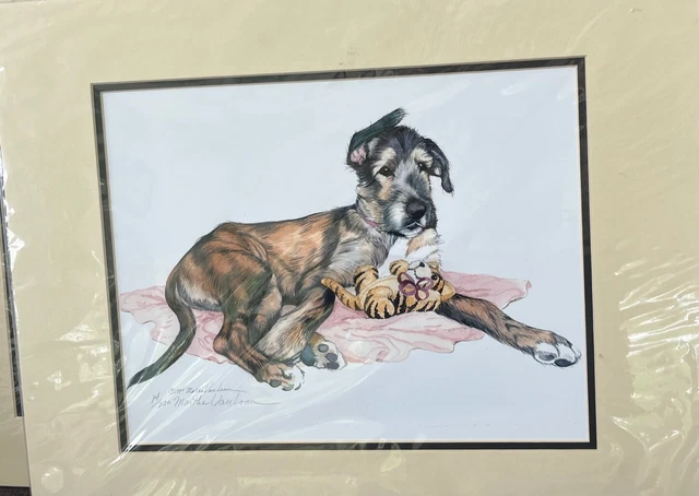 Irish Wolfhound Puppy with Toy Color Ltd Ed 11x14 Print By Van Loan