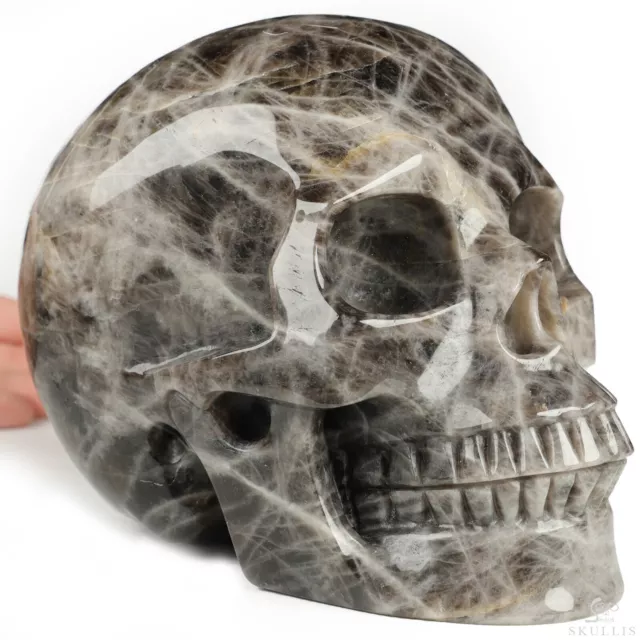 Lifesized 6.7" Black Quartz Hand Carved Crystal Skull, Realistic, Healing