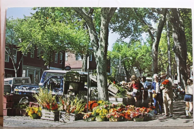 Massachusetts MA Nantucket Far Away Island Summer Stock Postcard Old Vintage PC