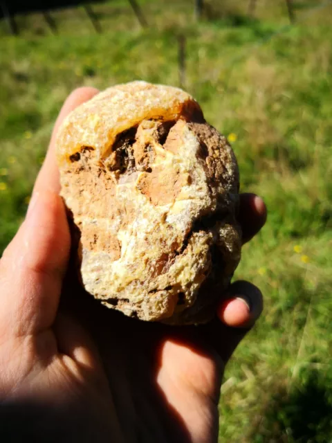 New Zealand Kauri Gum Young Amber Copal 140 gram piece