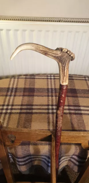Antique Stag Antler Handled Walking Stick