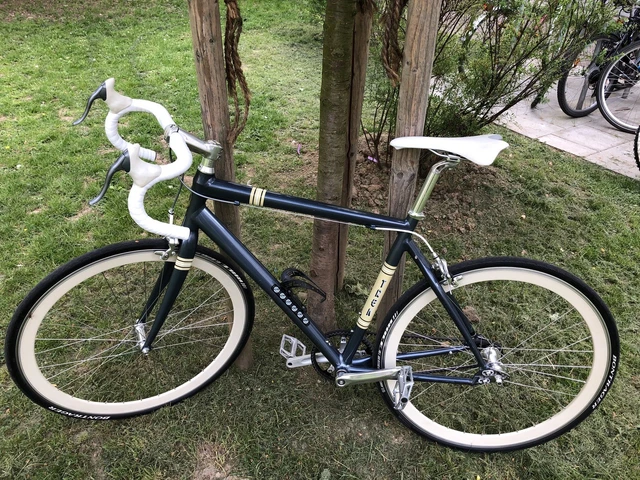 Trek 1st district 2025
