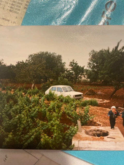 Grundstück in Italien /Ostuni Apullien